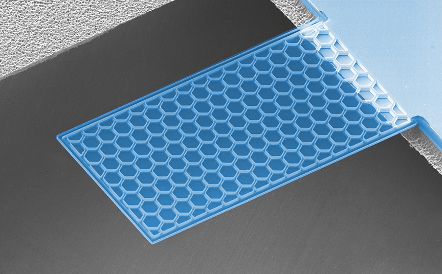 Ultrathin Plates Cantilever
