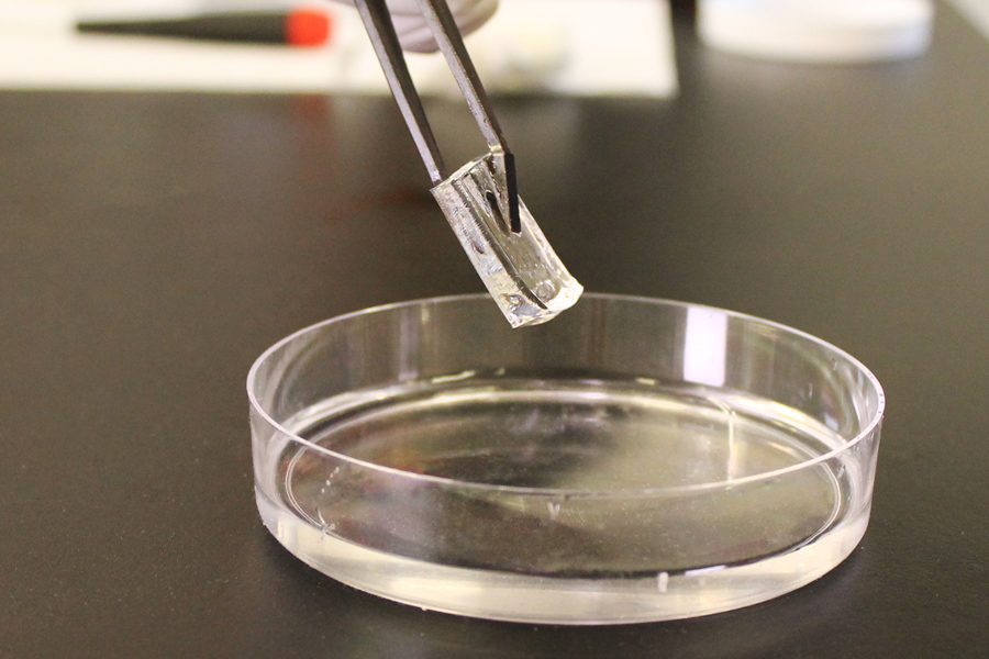 Hydrogel film close-up