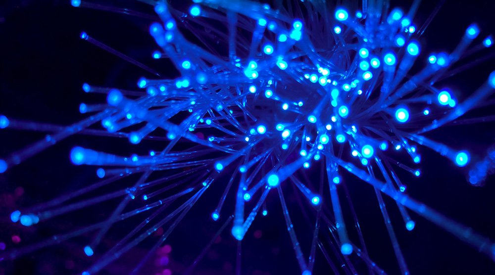 y-price_physics_informed_neural